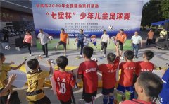 广东肇庆少年儿童足球赛开赛